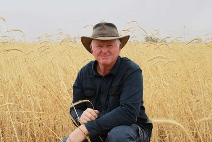 Steven Hobbs of Yarrock Farm kneeling in a wheat field.