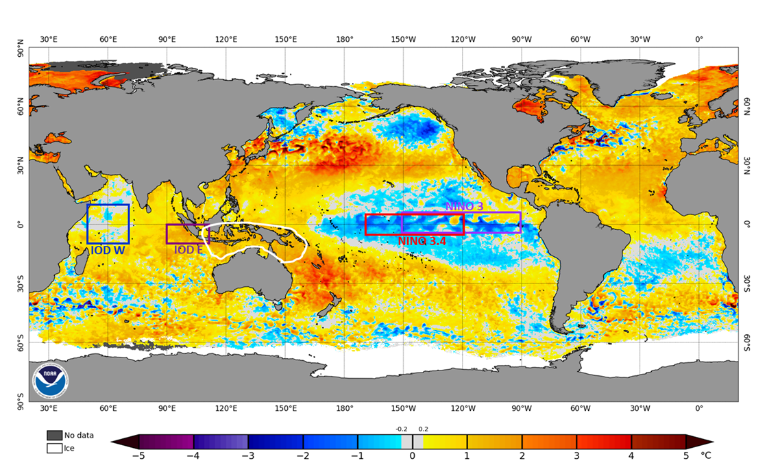 Map of the world showing sea surface temperature anomalies. The central equatorial Pacific is cooler and the eastern Pacific warmer. It is much warmer in the eastern half of the Indian Ocean compared to the western half.