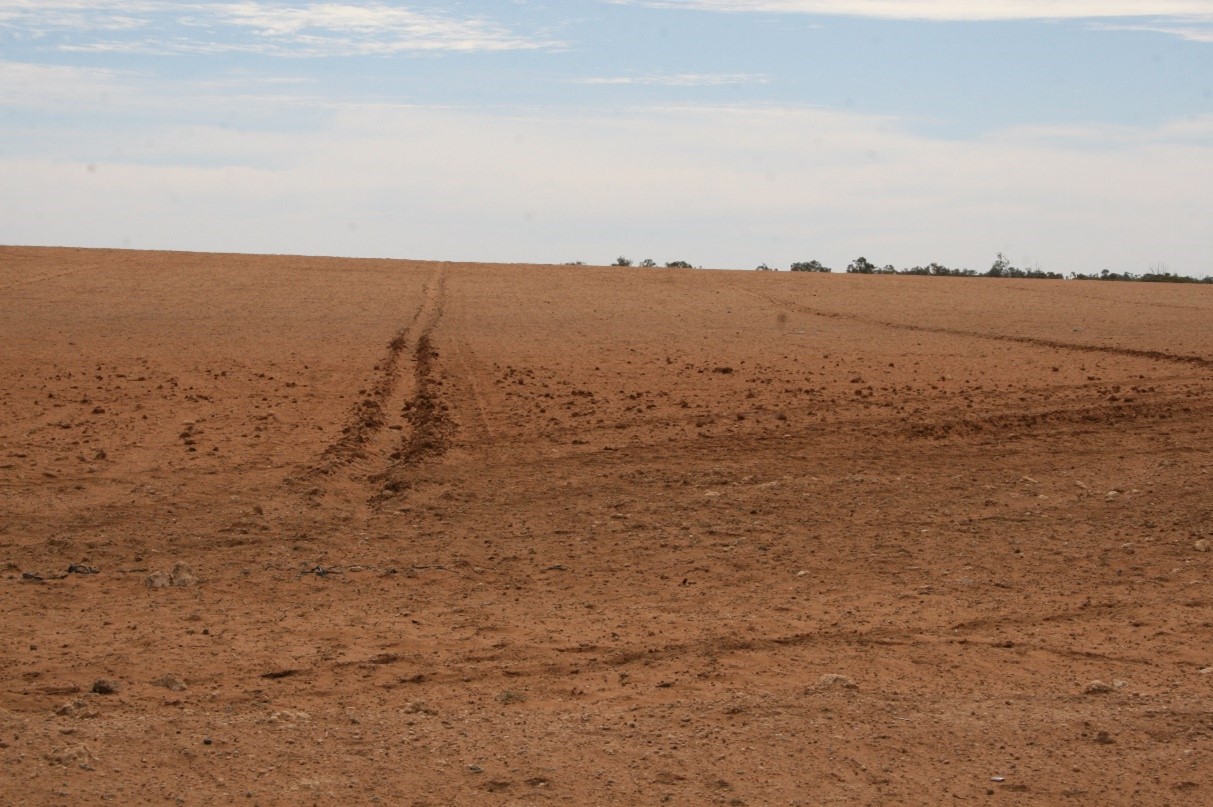 A paddock with red sandy soils with some clods in rip lines.