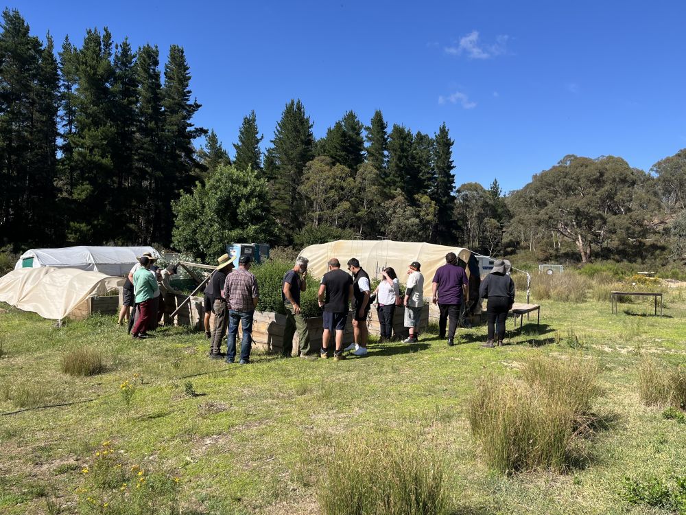 Djakitjuk Djanga CoP visiting Nalderun Education Aboriginal Corporation’s Me Mandook Galk bushfood garden. Group gathers around raised garden beds and tunnel houses in a bushland setting