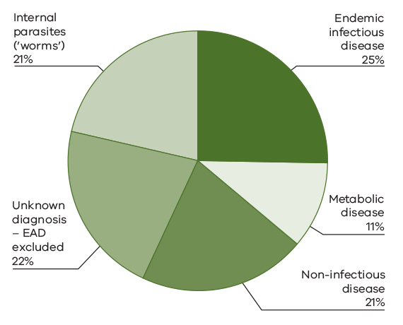 Pie graph showing categorised diagnoses in Sheep and Goat Mortaility Surveillance Project 2015–18. Internal parasites 21%, Endemic infectious disease 25%, Unknown diagnosis – EAD excluded 22%, Metabolic disease 11%, Non-infectious disease 21%.