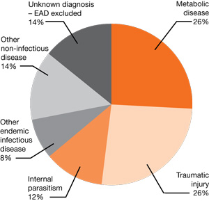  pie-chart of 6 diagnosis categories: 26% metabolic disease, 26% traumatic injury, 12% internal parasitism, 8% other endemic infectious disease, 14% other non-infectious disease, 14% unknown