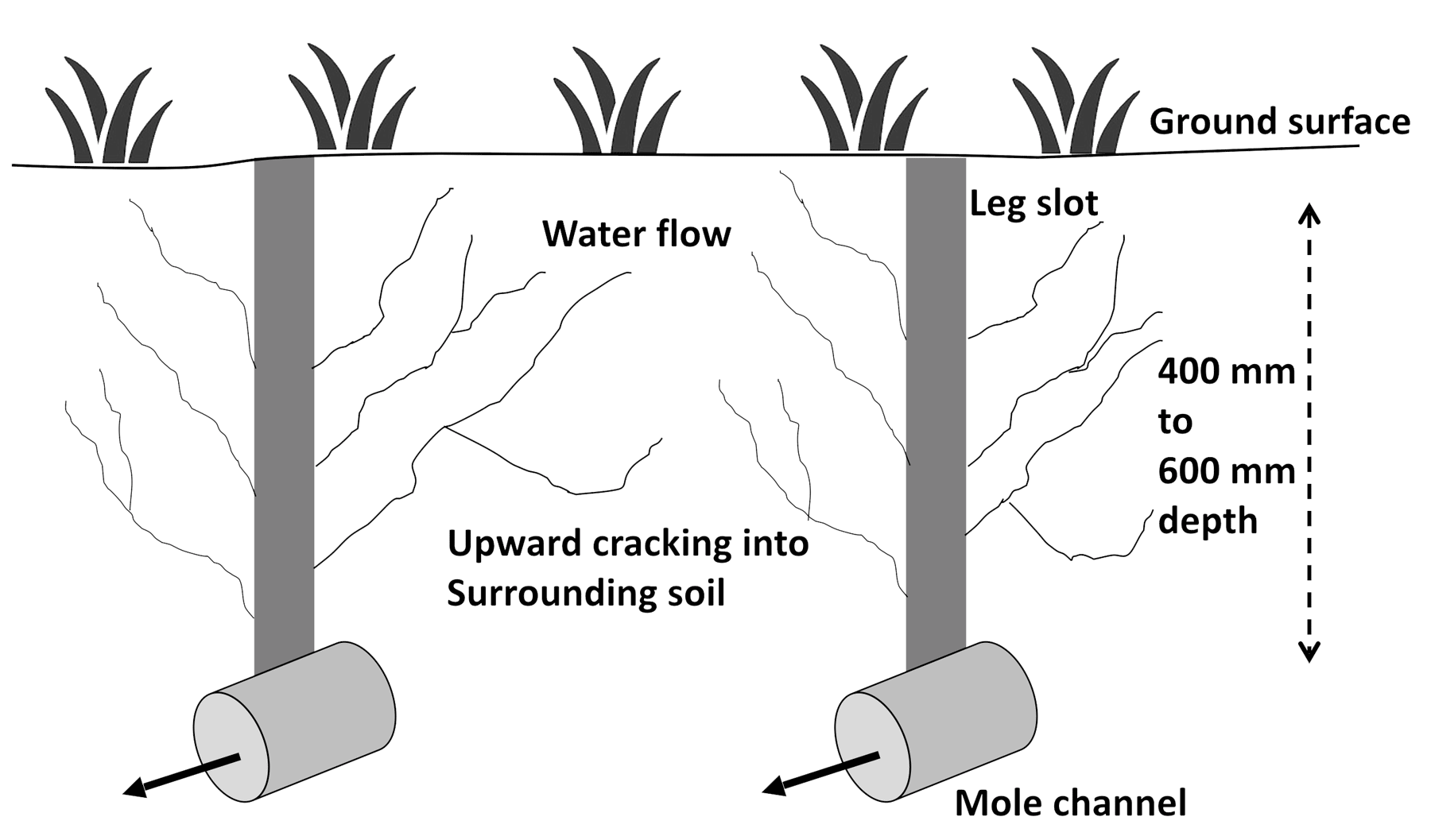 Cross section of a mole drained paddock. Mole drains installed by the mole plough at the appropriate soil moisture content to create upwards cracking into soil surrounding the mole channels. These cracks allow water to flow to the mole channel.