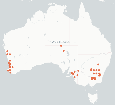 Map of Australia showing known distribution of O aygulus in southern WA, SA, SW Vic, NSW, SE Qld and Nth Qld