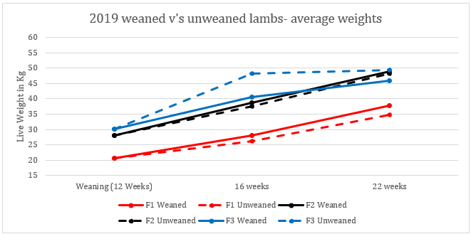2019 weaned v's unweaned lambs- average weights