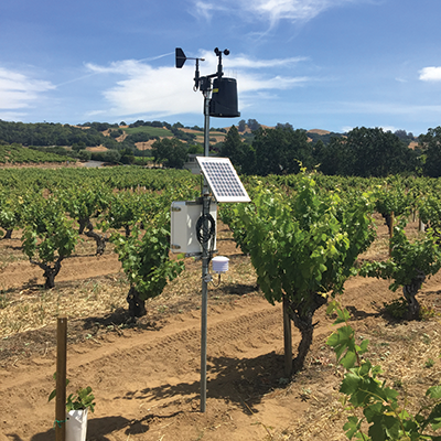 Irrigation management tool in vineyard