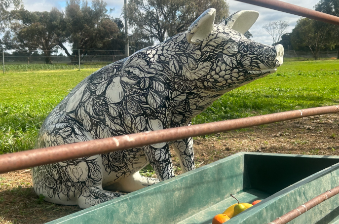 Pig sculpture sitting in brown dirt with black Berkshire heritage piglets and hut in the background. Sculpture is painted in black and white colour with foods that pigs can consume safely – such as apple, pear and leaves. 
