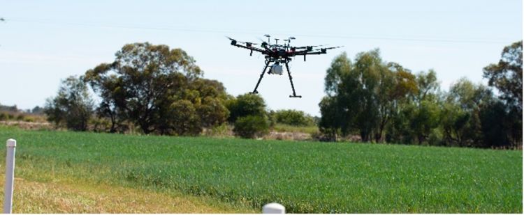 A large image of a drone in a field