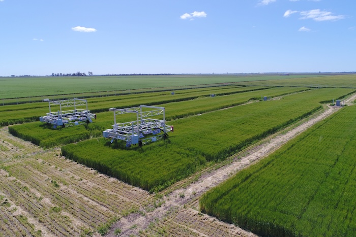 Two large agricultural machines in a field viewed from above 