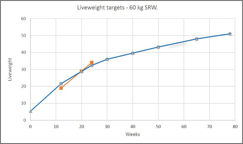 Figure 2: Target liveweights for ewe lambs with a standard reference weight (SRW) of 60 kg. Target liveweights for ewe lambs with a Standard Reference Weight (SRW) of 60 kg.