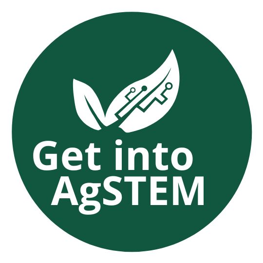 Get into Stem Logo