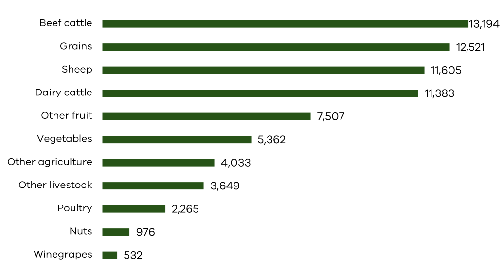 Bar chart showing the number of people employed in different agriculture sectors in Victoria in 2022-23. The chart shows beef cattle farms as having the largest overall workforce in Victoria. This is followed by grain farms, then sheep and dairy cattle. The sector with the smallest employment is winegrape growing.