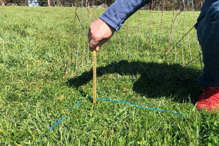 Farmer crouched in a field using a ruler to measuring spring growth near the soil moisture probe