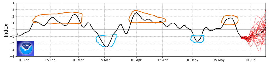 Graph of the SAM showing small moderate bursts of positive and negative and a lot of neutral during May. The current value is weakly negative.