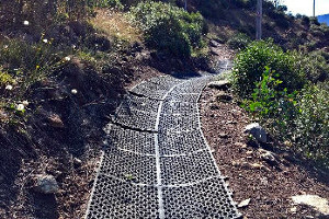 Rubber matting covering the trail where the hawkweed plants were found