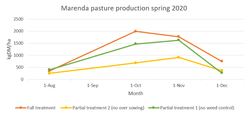 Marenda pasture production spring 2020 measured in kgDM/ha under pasture cages, cut in August, September, October, November, and December. Shows that the full treatment (weed control and over sowing) produced the most amount of grass per hectare