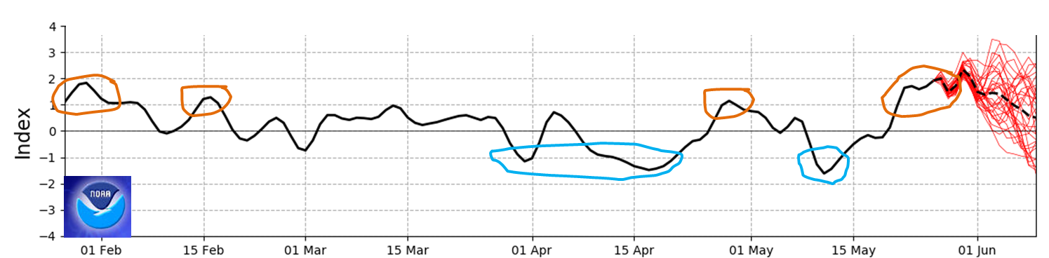 NOAA graph of the SAM, showing a brief negative value followed by a moderate positive phase in late May. Currently, the SAM value is close to +2, with NOAA model predictions slowly tracking back to neutral over the next 14 days.