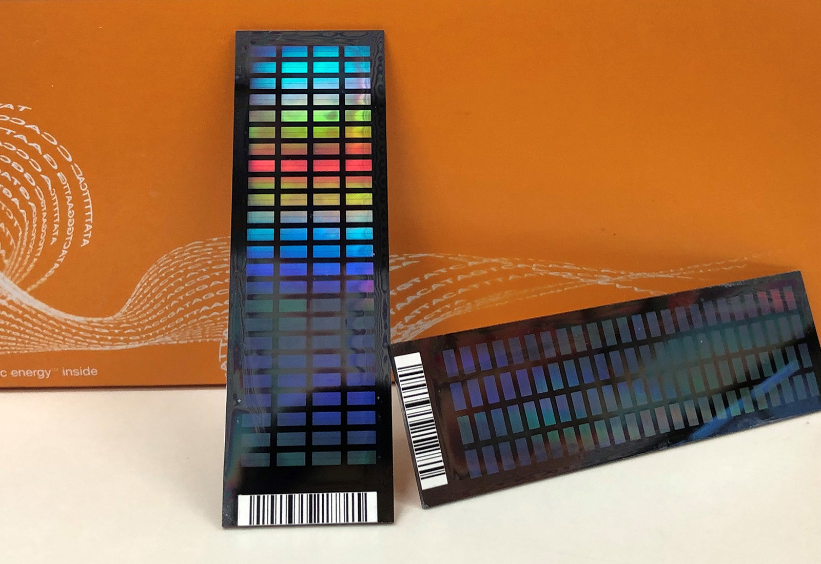 In partnership with industry, Agriculture Victoria has deployed multispecies DNA single nucleotide polymorphism (SNP) array technologies to accelerate genetic improvement in crops and livestock.