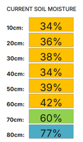 Figure 5: Soil moisture profile under the unimproved site at Bairnsdale (6th September) Soil moisture profile at 10 cm intervals at the Bairnsdale site, showing 34% in the top 10 cm and similar levels down to 60 cm, then 60% at 70 cm and 77% at 80 cm.
