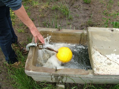 A person checking the flow in a water trough with a gauge that has a yellow ball on the end.