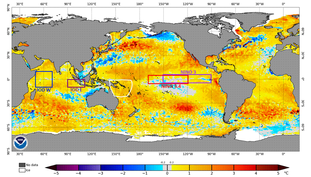 Map of the world showing sea surface temperature anomalies &ndash; the central equatorial Pacific is average. The Coral Sea is warmer and the Timor Sea has warmed.