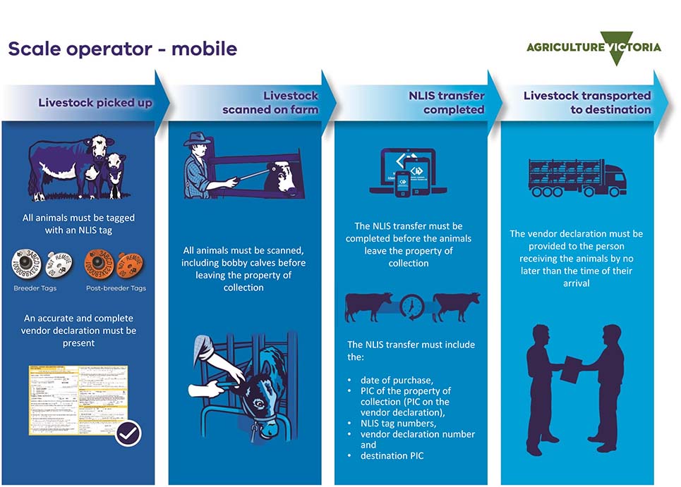 Infographic showing how a mobile scale operation fits into the process