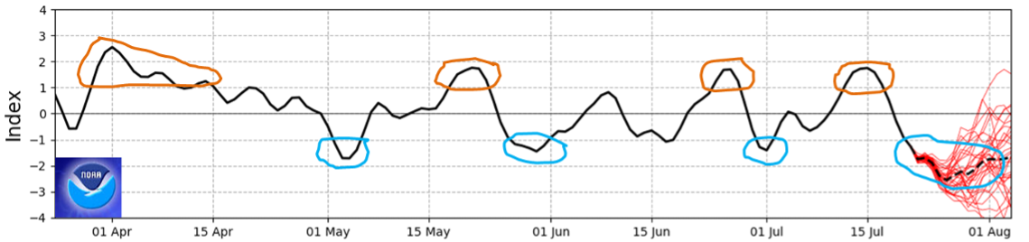 Graph of the SAM showing variable July values. The current value is moderately negative.