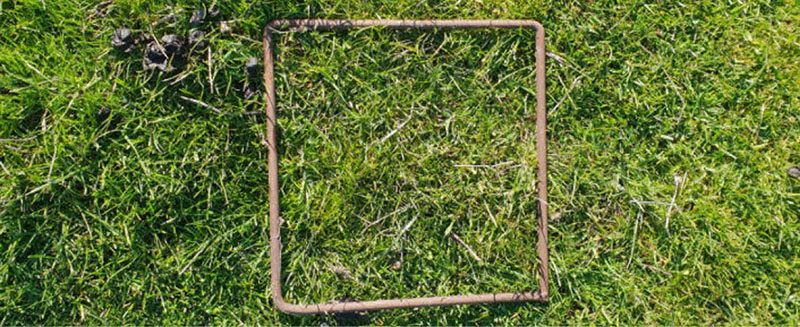 A pasture quadrat on grass.