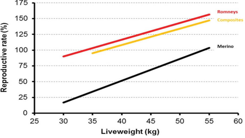 A chart shows the impact of liveweight on reproductive rates in lambs