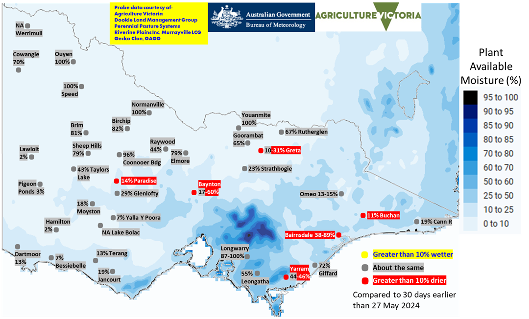 Map of Victoria showing modelled plant available moisture (%). Some perennial pastures on and south of the Divide have decreased but most are similar to last month.