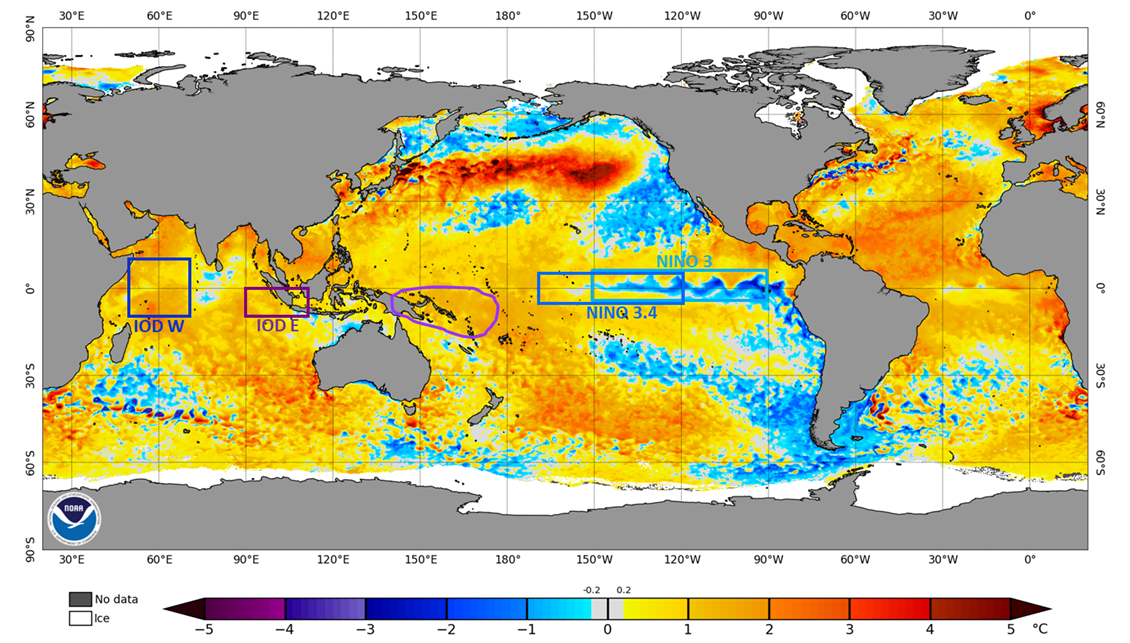 Map of the world showing sea surface temperature anomalies, the equatorial Pacific in showing a narrow cool zone and the Indian Ocean is warmer across the basin. There is warmer water northeast of Australia in the Coral Sea.