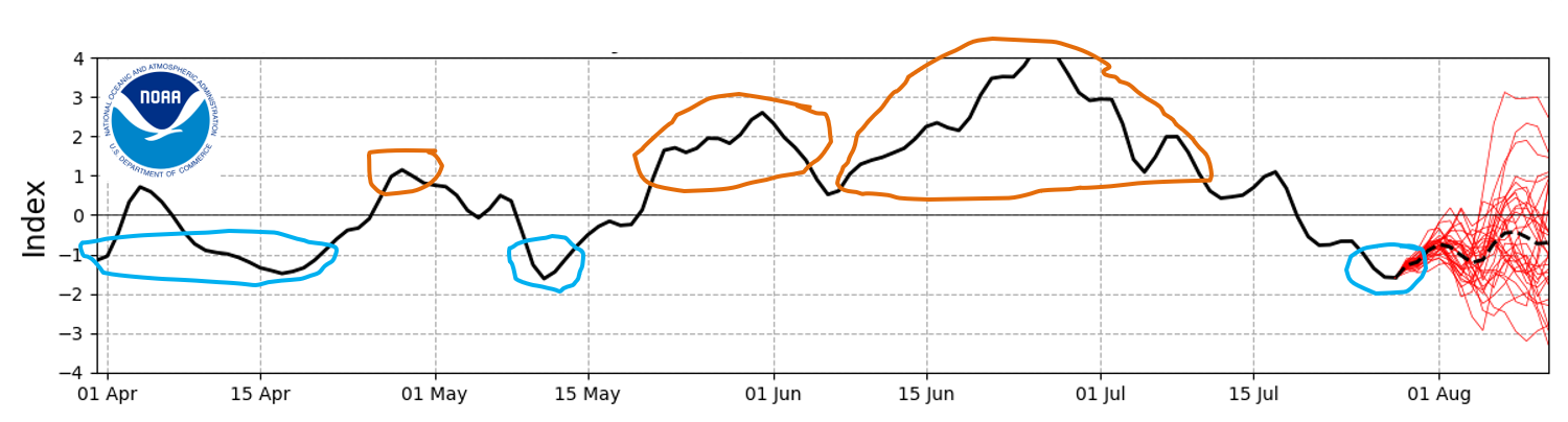 NOAA graph of the SAM showing moderate to moderate positive values in early July, transferring through neutral to moderate negativity in the last week of the month. Currently the SAM value is close to &minus;1.5, with the NOAA model predicting it to remain weakly negative.
