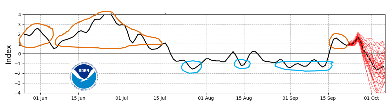 NOAA graph of the SAM showing moderate negativity through September that has peaked up to moderate positivity. Currently, the SAM value is close to +1.0, with the NOAA model predicting it to go negative again in a fortnight.