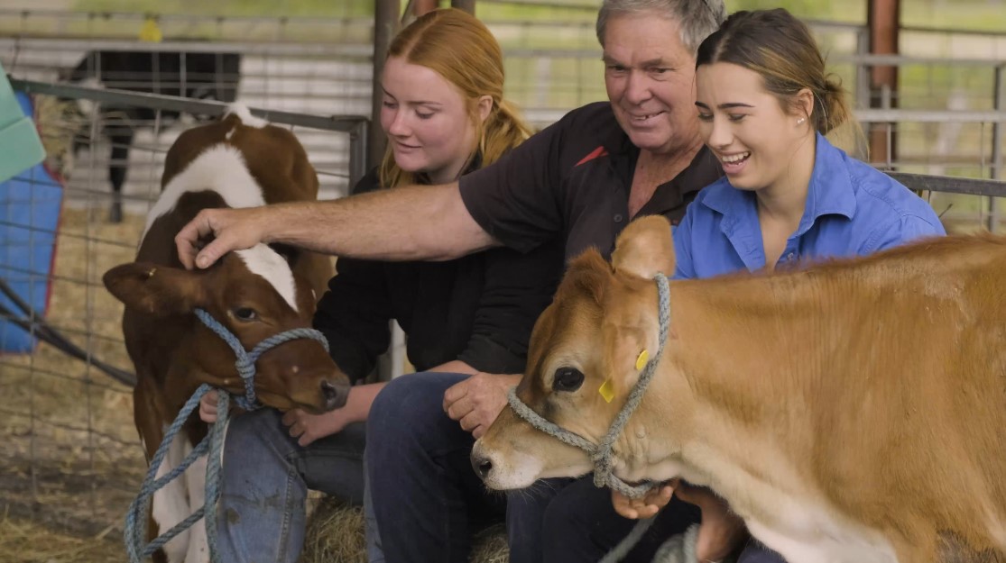 The Secondary Schools Agriculture Fund supported the delivery of the agriculture skills of the future. Two students with a teacher and two calves