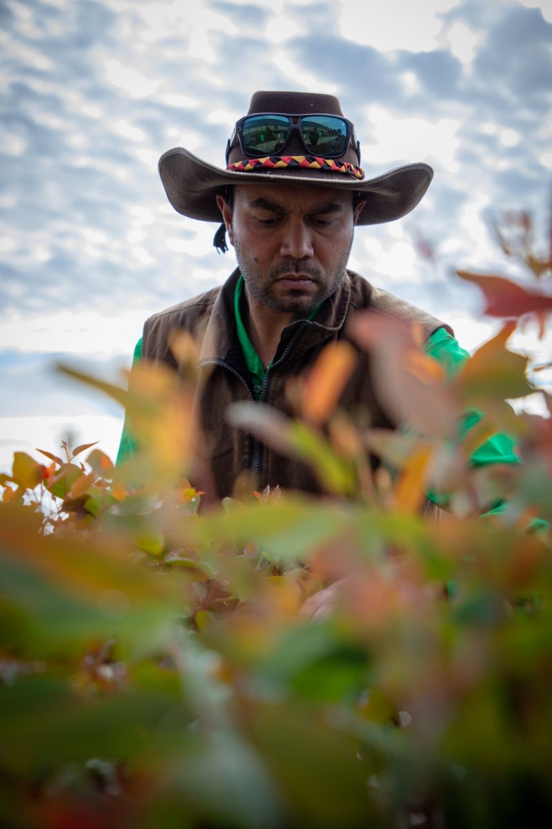 A man wearing a hat, with foliage in the foreground.