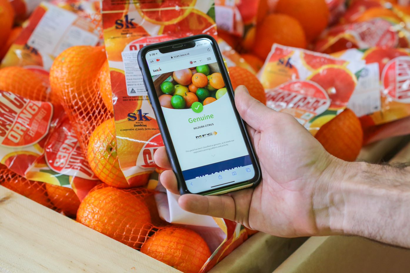 A hand holding a phone in front of bags of oranges, phone shows an image of citrus, and a green tick showing genuine on the Laava APP. 