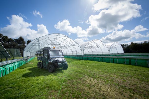 PhenoRover with sensor equipment in front of rain out shelters at Hamilton SmartFarm