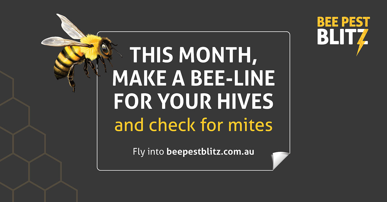 Promo graphic for Bee Pest Blitz, with the text 'This month make a bee-line for your hives and check for mites. Fly into beepestblitz.com.au