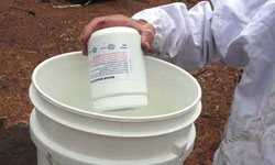 Beekeeper shaking the jar of sugar into a white bucket of water