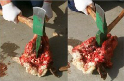 Splitting the hard palate and lower jaw using an axe