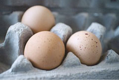 Three eggs in a carton