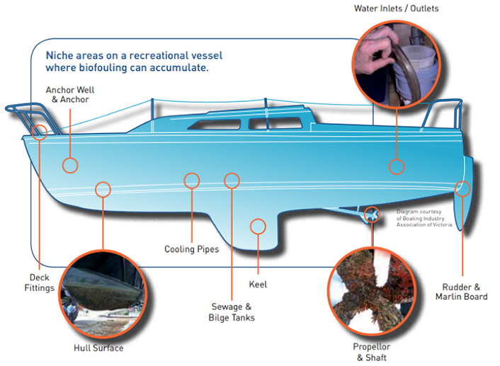 Diagram of a boat showing additional areas needing to be cleaned as described in the text to follow