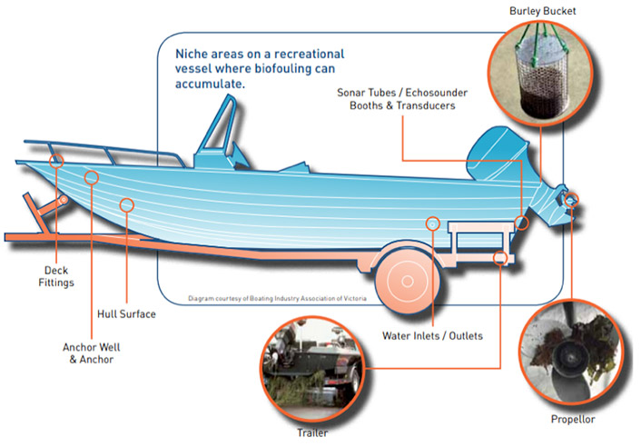 Diagram of a boat showing areas needing to be cleaned as described in the text to follow