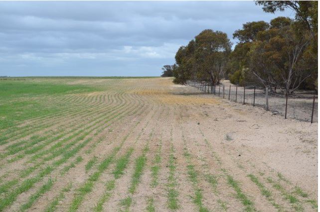 Large pasture field, elevated view, green crops on left side, eroded, sandy soil on right side