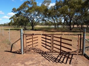 Two-way trap made out of horizontal metal bars