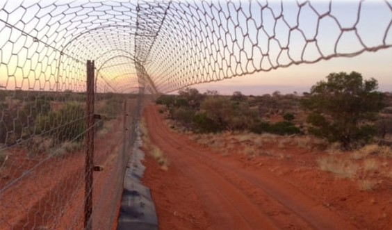 Tall mesh fence with overhang and skirt at base