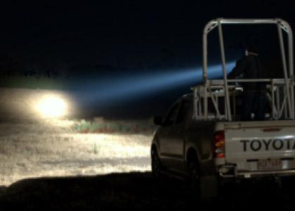 Ute in the dark shining a spotlight