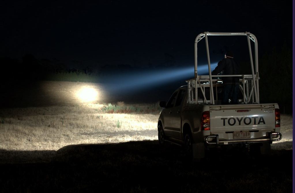 Ute shining spotlight beam into dark paddock