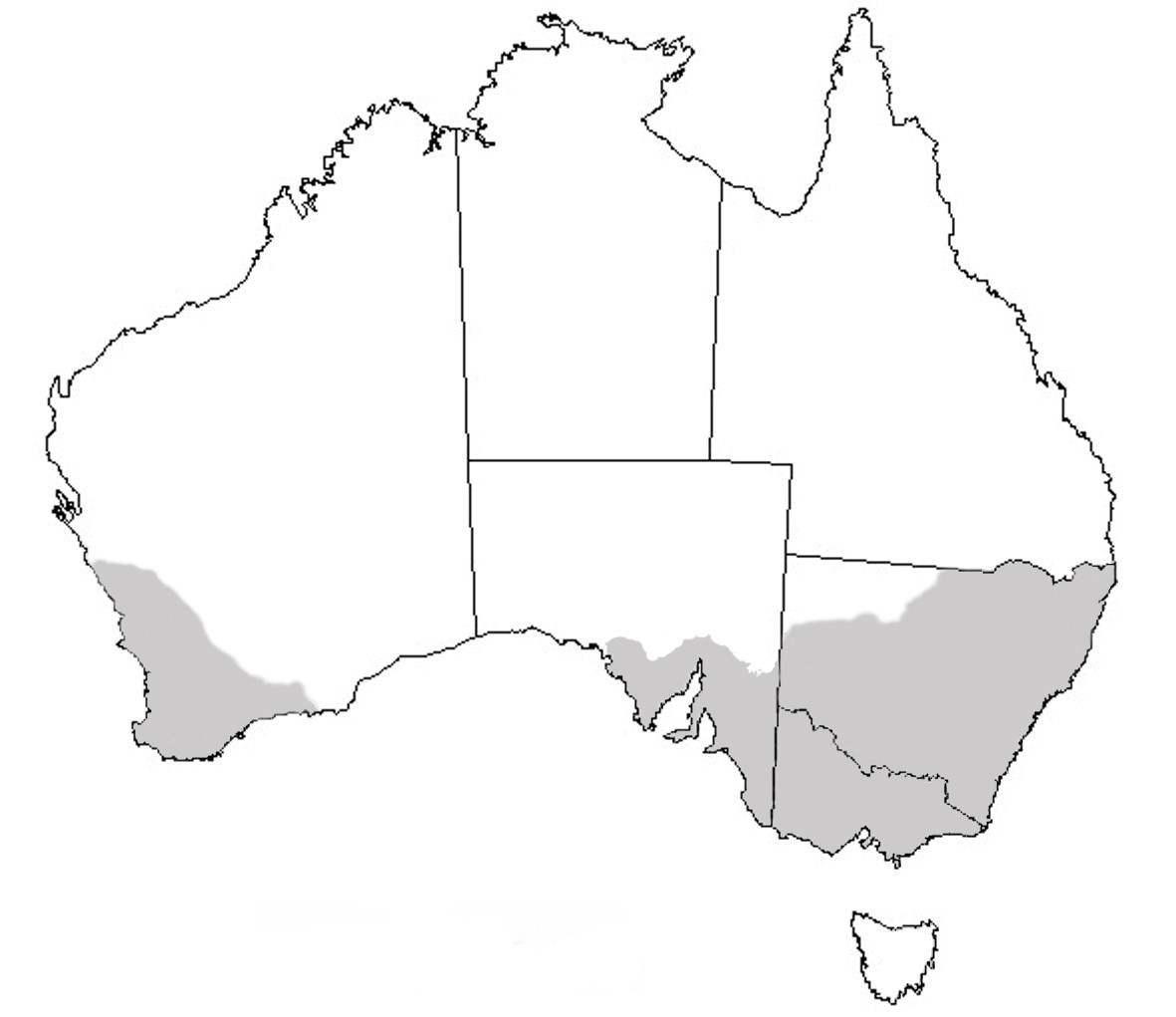Figure 2: Distribution of Bryobia mites in Australia Map of Australia showing the known distribution of Bryobia mites in southern Western Australia, south-east South Australia, Victoria and New South Wales.