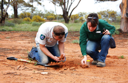 People digging soil